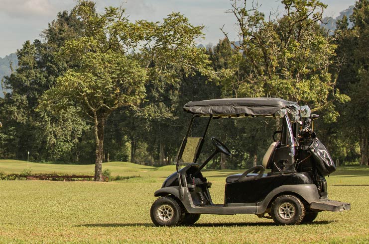 Golf Carts